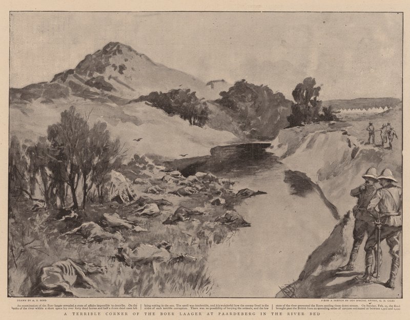 Nehir Yatağındaki Paardeberg