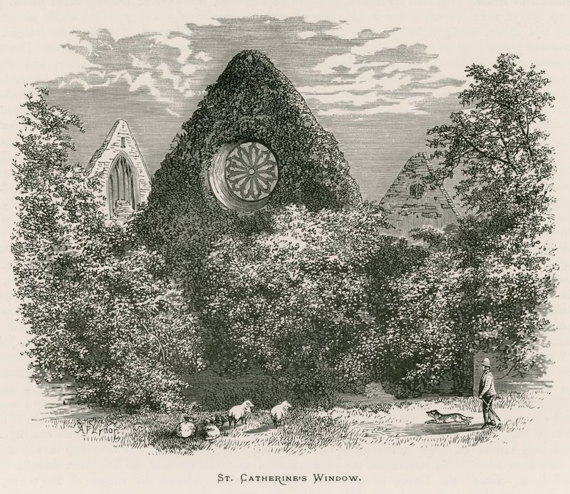 Dryburgh Manastırı, Aziz Catherine Penceresi by Alexander Francis Lydon