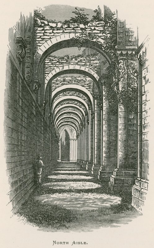 Fountains Abbey, Kuzey Koridor by Alexander Francis Lydon