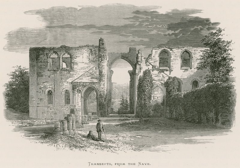 Furness Manastırı, Transepts, Neften by Alexander Francis Lydon