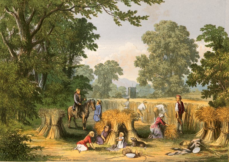 Illustration for Goldsmith