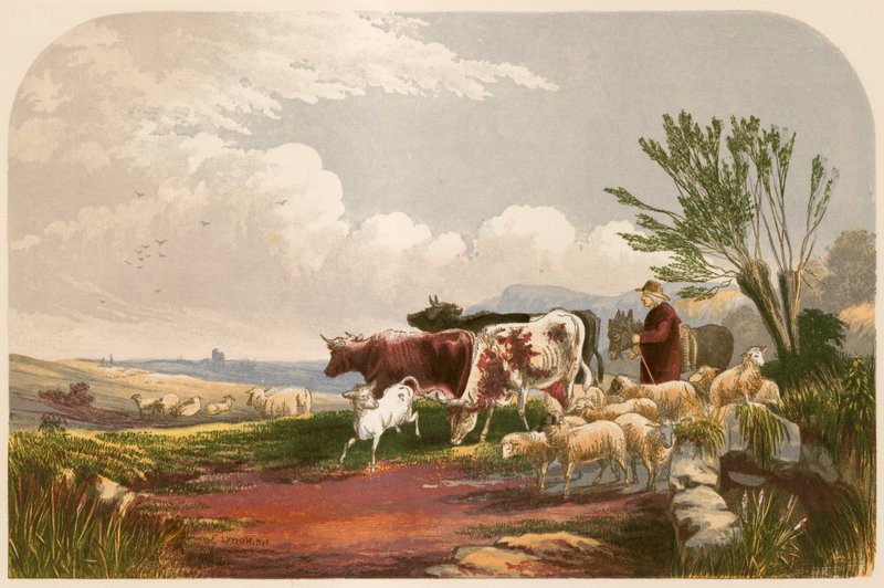 Goldsmith