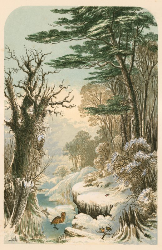 Kışın Longfellow