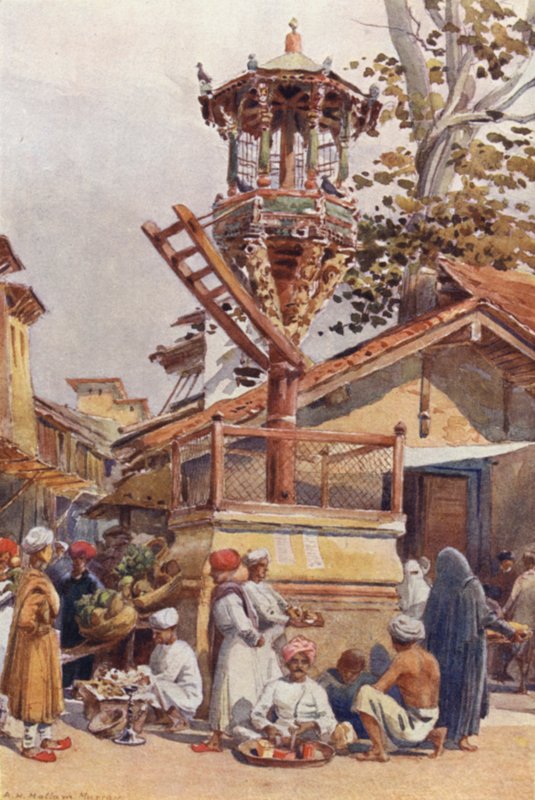 Kuşlar için Besleme Yeri, Ahmedabad by Alexander Henry Hallam Murray