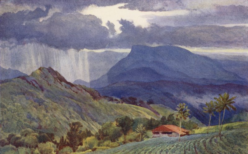 Tropikal Bir Duş by Alexander Henry Hallam Murray