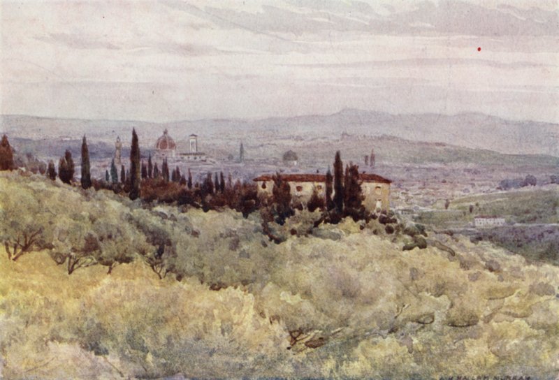 San Domenico Zeytin Bahçeleri