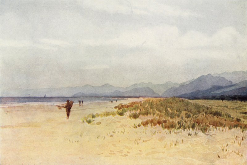 Viareggio