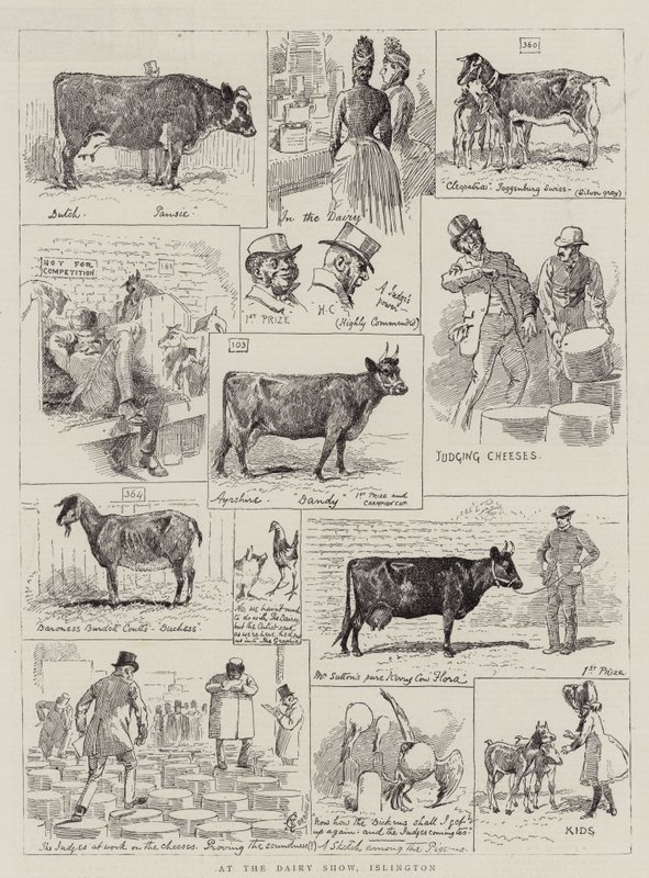 ಡೈರಿ ಶೋನಲ್ಲಿ, ಇಸ್ಲಿಂಗ್ಟನ್ ಟರ್ಕ್ by Alfred Chantrey Corbould