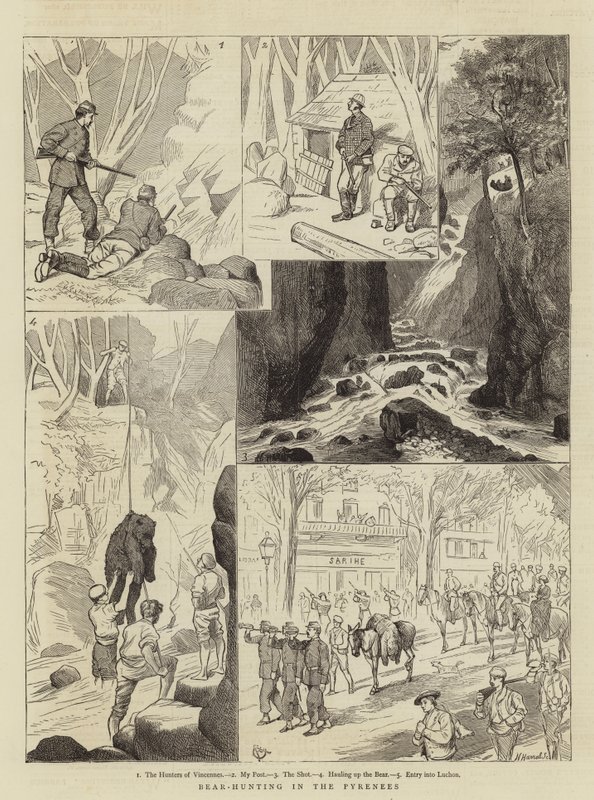 Pirenelerde Ayı Avı by Alfred Chantrey Corbould
