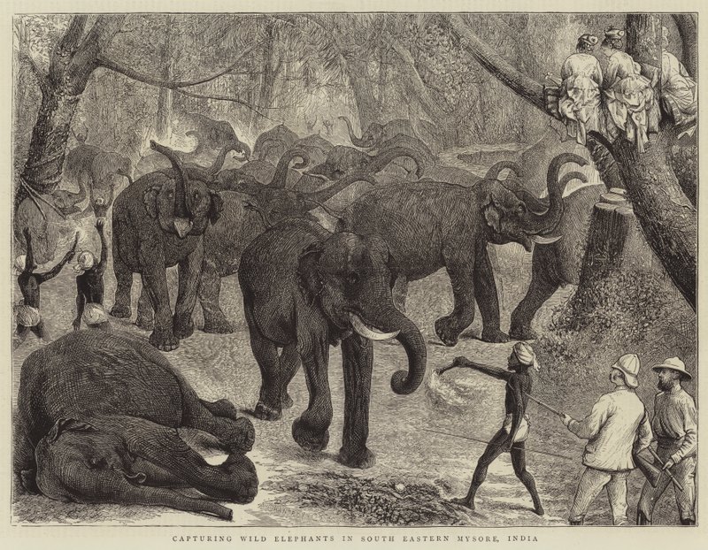 Güneydoğu Mysore, Hindistan