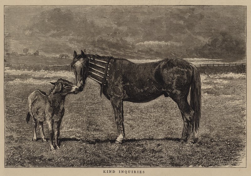 Tür Soruları by Alfred Chantrey Corbould