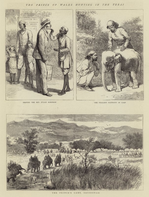 Galler Prensi Terai