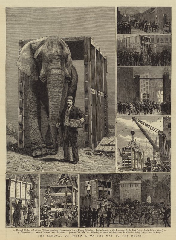 ದಿ ರಿಮೂವಲ್ ಆಫ್ ಜಂಬೋ, I, ಆನ್ ದ ವೇ ಟು ದಿ ಡಾಕ್ಸ್ ಟರ್ಕ್ by Alfred Chantrey Corbould