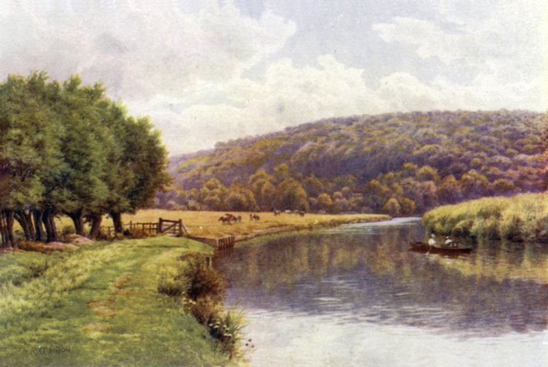 Quarry Woods, Marlow  by Alfred Robert Quinton