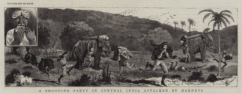 A Shooting Party in Central India attacked by Hornets  by Alfred Chantrey Corbould