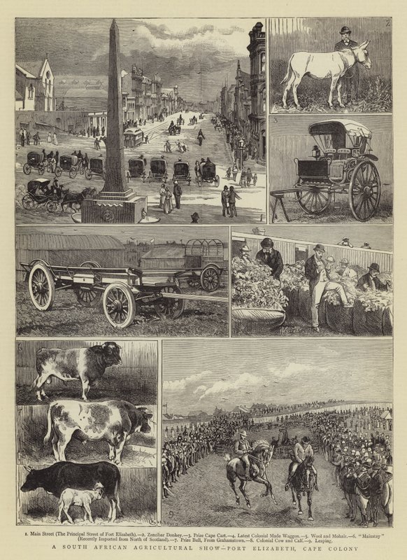 Güney Afrika Tarım Fuarı, Port Elizabeth, Cape Colony by Alfred Chantrey Corbould