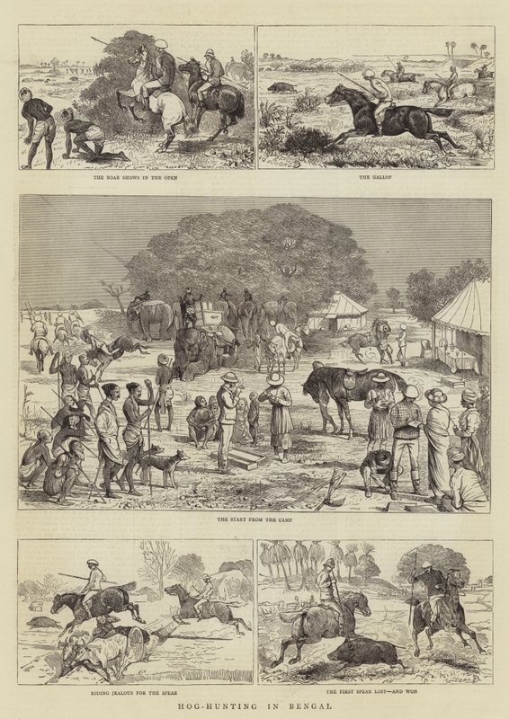 Bengal'de Domuz Avı by Alfred Chantrey Corbould