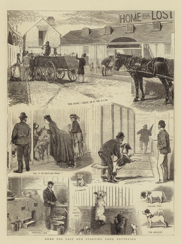 Kayıp ve Açlıktan Ölen Köpekler Evi, Battersea by Alfred Chantrey Corbould