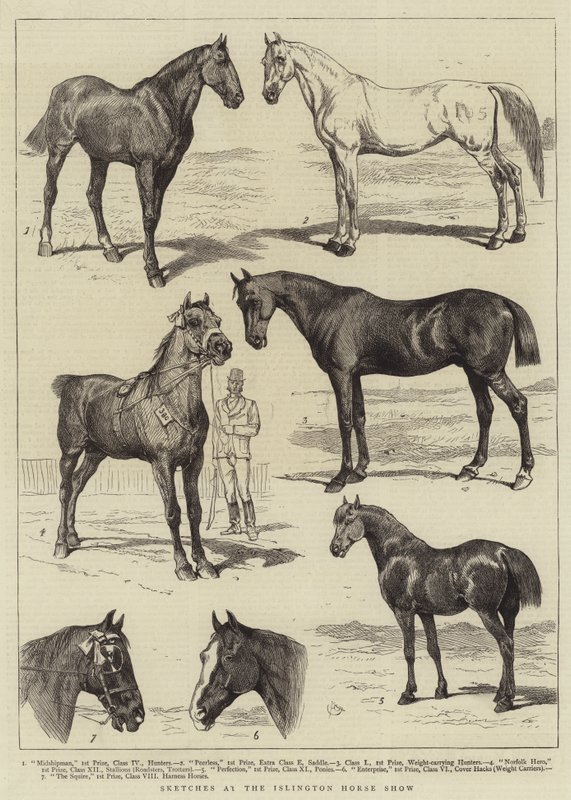 Islington Horse Show