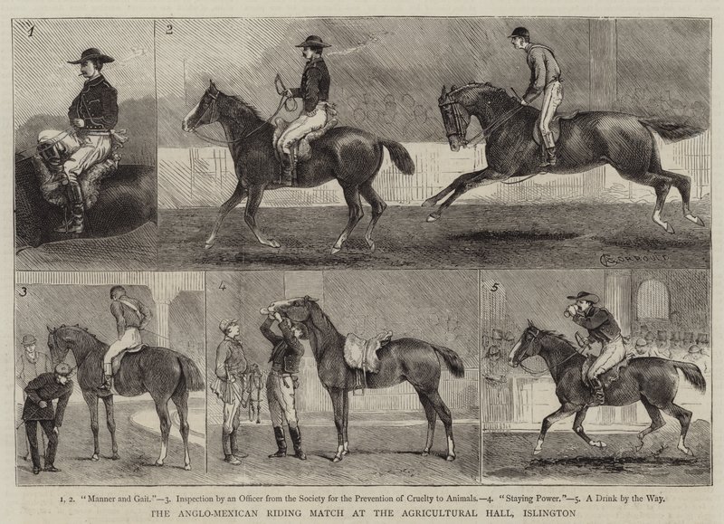 Islington, Tarım Salonunda Anglo-Meksika Binicilik Maçı by Alfred Chantrey Corbould