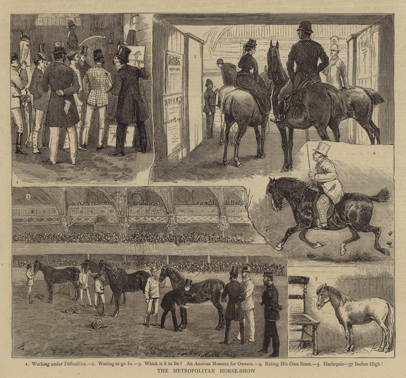 Büyükşehir At Gösterisi by Alfred Chantrey Corbould