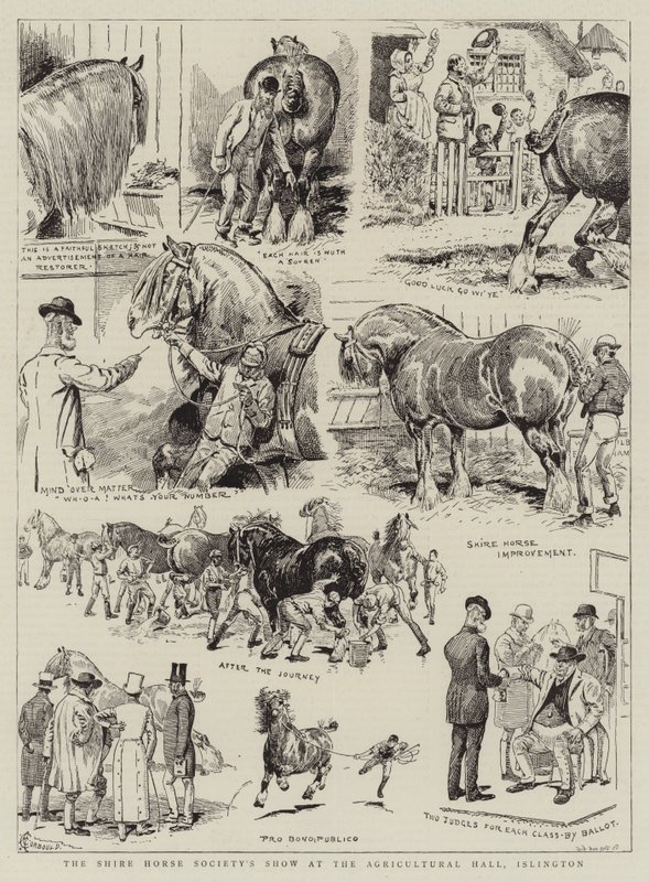 Shire Horse Society'nin Islington Tarım Salonundaki Gösterisi by Alfred Chantrey Corbould