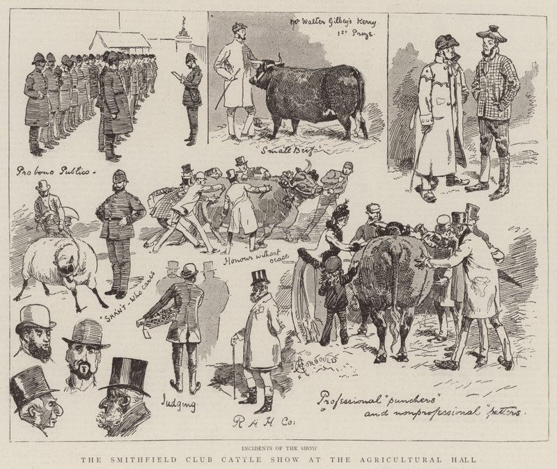 Tarım Salonunda Smithfield Kulübü Sığır Gösterisi by Alfred Chantrey Corbould
