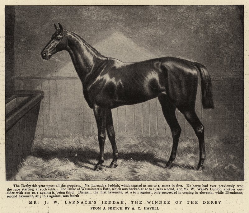 Mr J W Larnachs Jeddah, the Winner of the Derby  by Alfred Charles Havell