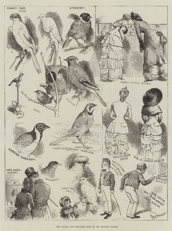Crystal Palace