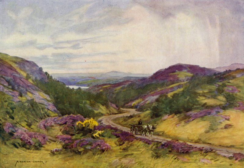 Danimarka: Aalborg yakınlarındaki Raebild Tepeleri (renkli taş) by Alfred Heaton Cooper