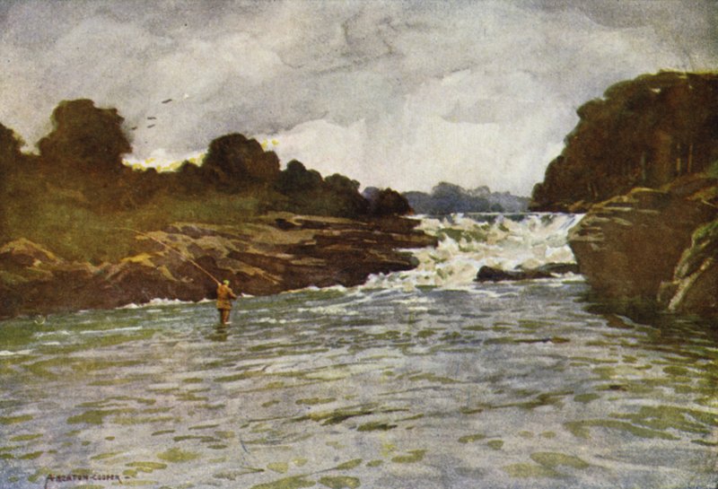 Kathleens Şelalesi, Ballyshannon by Alfred Heaton Cooper