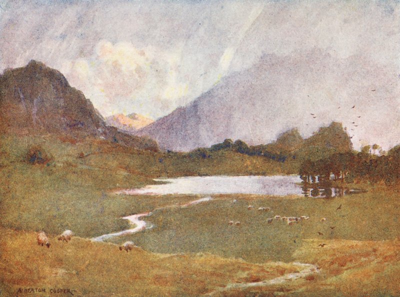  by Alfred Heaton Cooper
