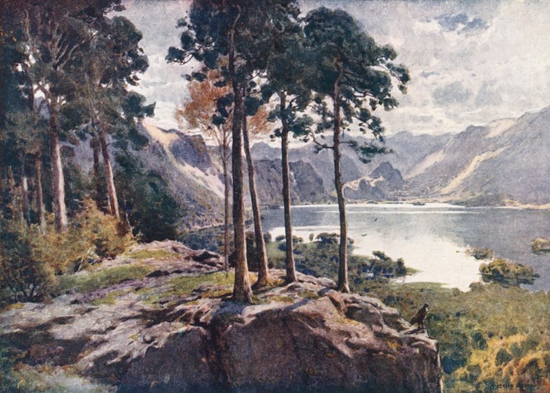 Göller Bölgesi: Derwentwater, Castle Head