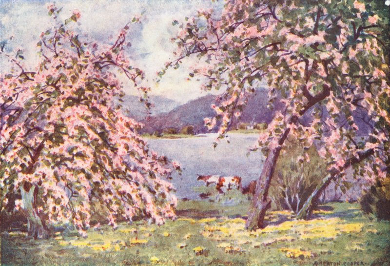  by Alfred Heaton Cooper