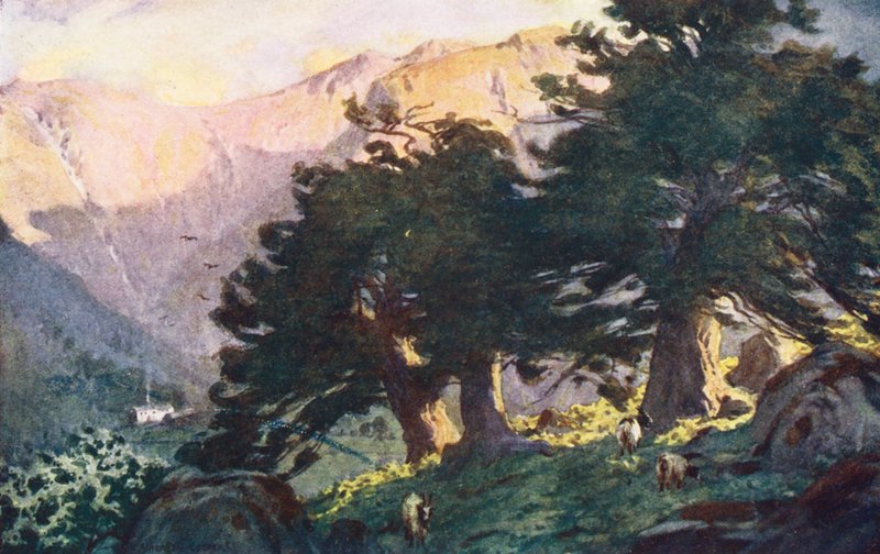  by Alfred Heaton Cooper