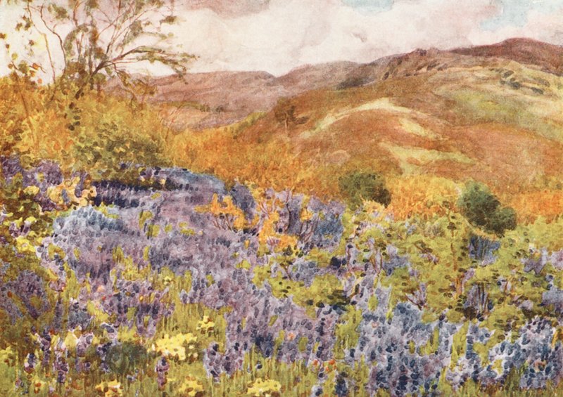  by Alfred Heaton Cooper