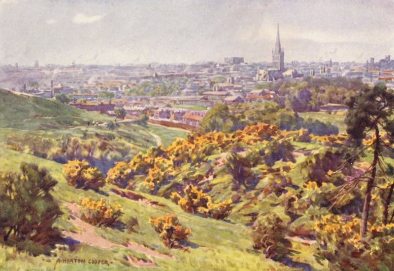 Mousehold Heath, Norfolk
