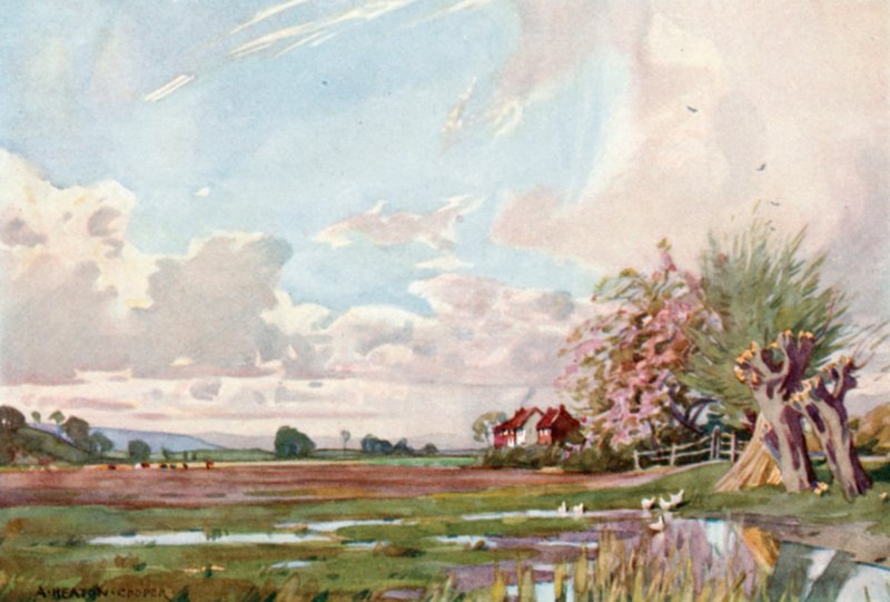 Athelney Adası (renkli taş) by Alfred Heaton Cooper