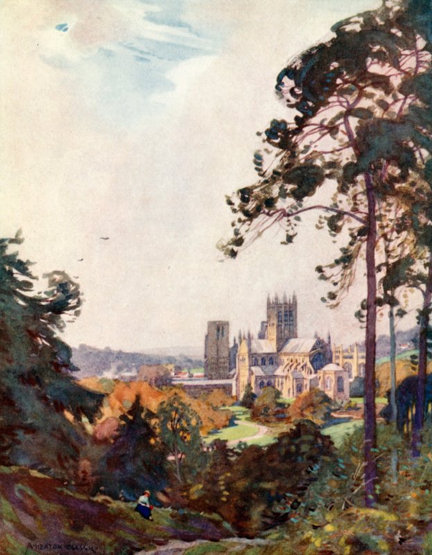 Tor