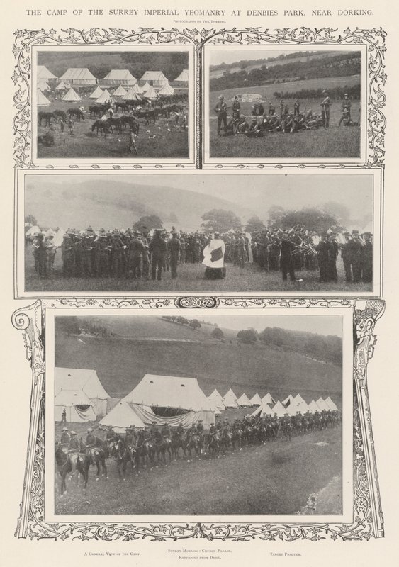Dorking yakınlarındaki Denbies Park