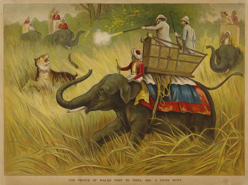 Galler Prensi Edward, Hindistan ziyaretinde kaplanları vuruyor by Alfred Johnson