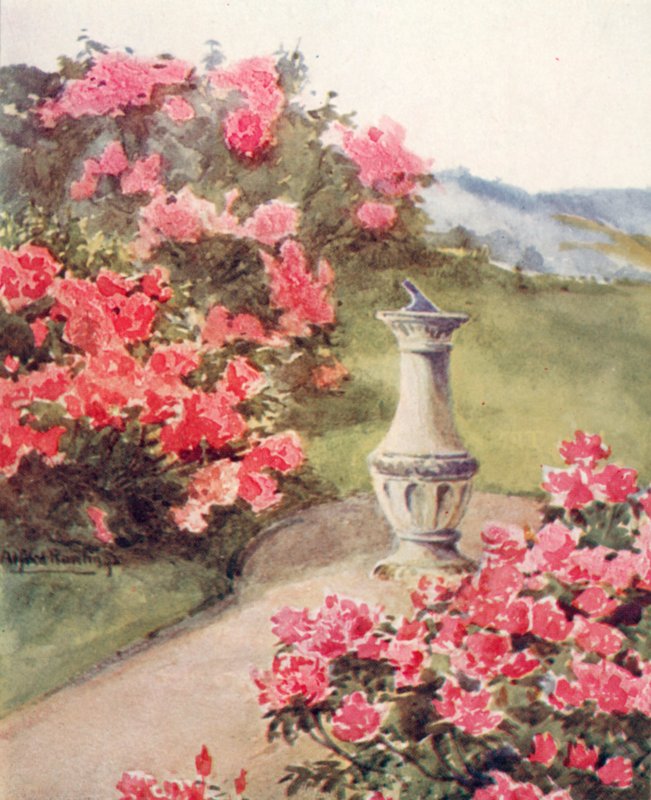  by Alfred Rawlings
