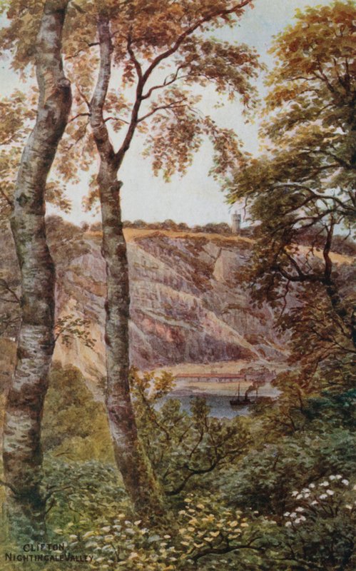 Clifton, Bülbül Vadisi by Alfred Robert Quinton