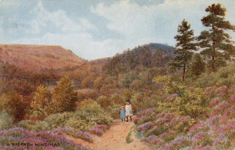 geri zekalı by Alfred Robert Quinton