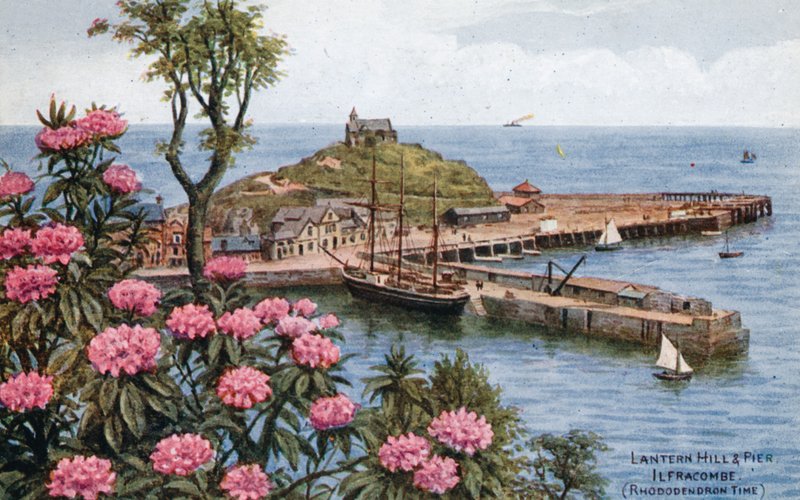 Lantern Tepesi ve İskelesi, Ilfracombe, (Rhododendron Zamanı) by Alfred Robert Quinton