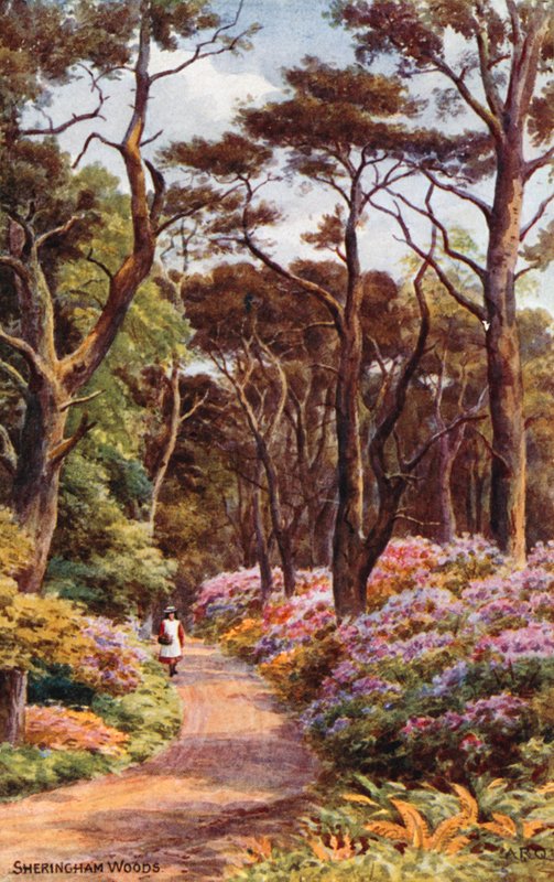 Sheringham Ormanları by Alfred Robert Quinton
