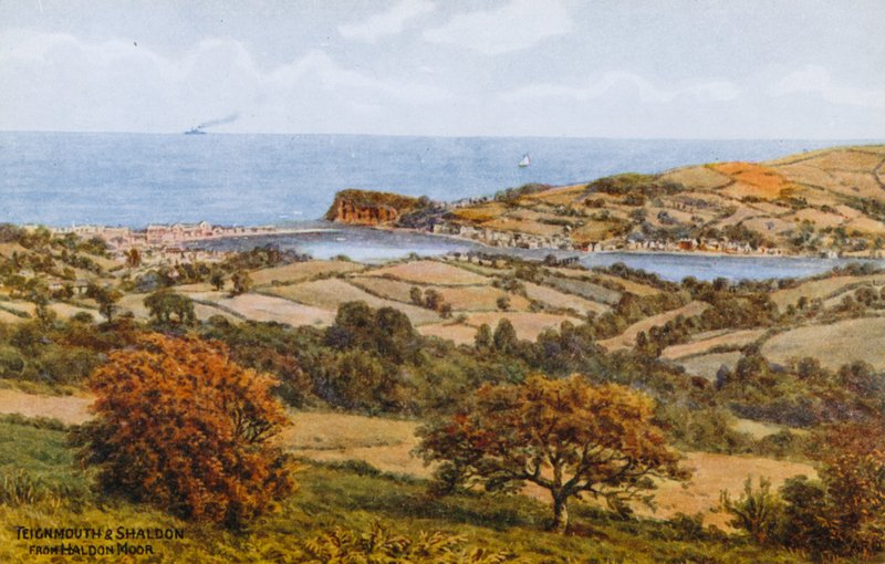 Haldon Moor