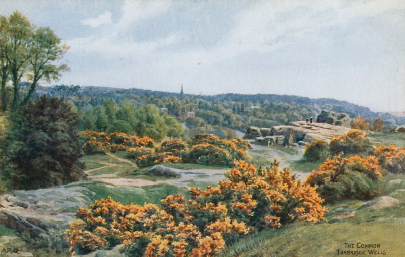 The Common, Tunbridge Wells  by Alfred Robert Quinton