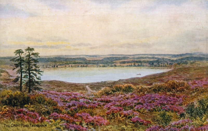Büyük Gölet, Frensham by Alfred Robert Quinton
