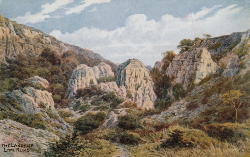 The Landslip, Lyme Regis  by Alfred Robert Quinton